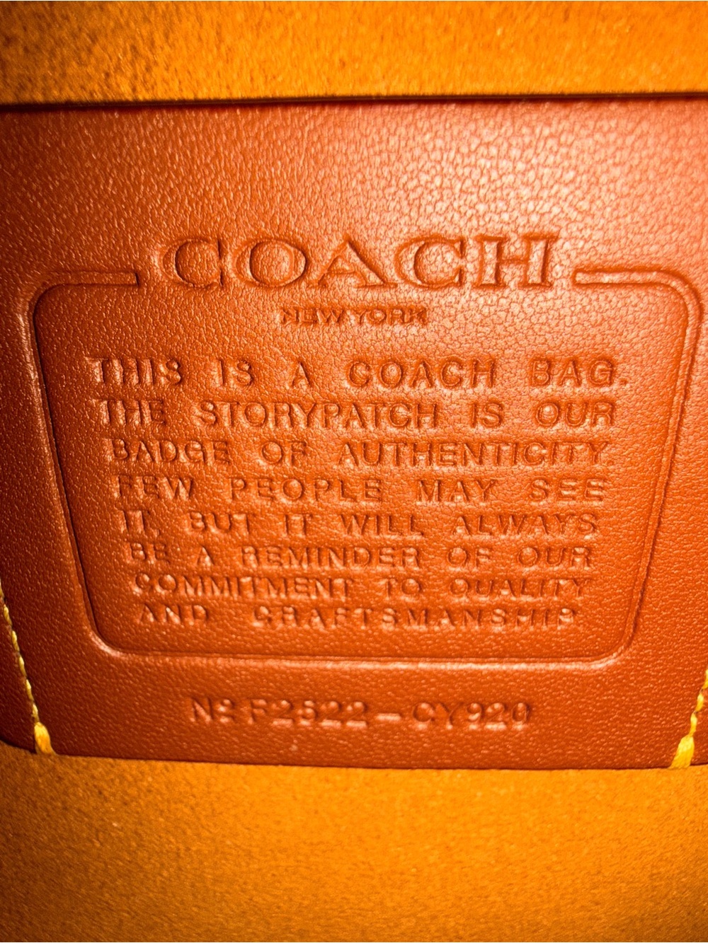 Coach Chain โ๏ธโ๐ฅ tabby 30 - Picture 6 of 6